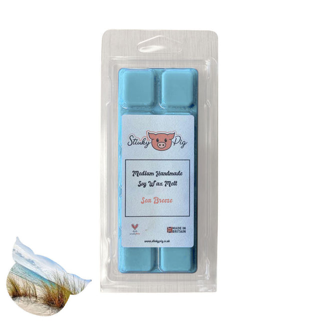Sea Breeze 50g Soy Wax Melt Clamshell