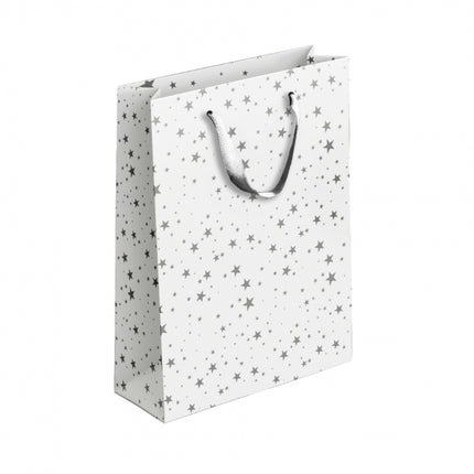 Gold/Silver Patterned Medium Gift Bag