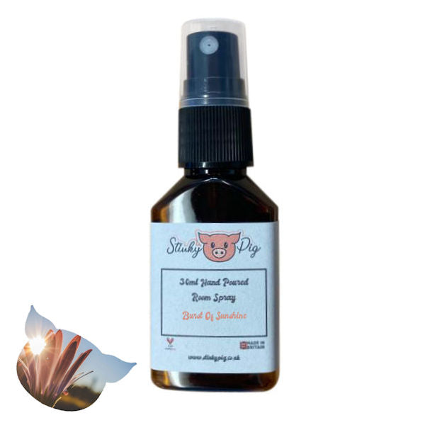 Burst Of Sunshine 30ml Small Room Spray