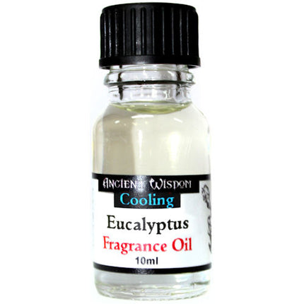 Eucalyptus 10ml Fragrance Oil