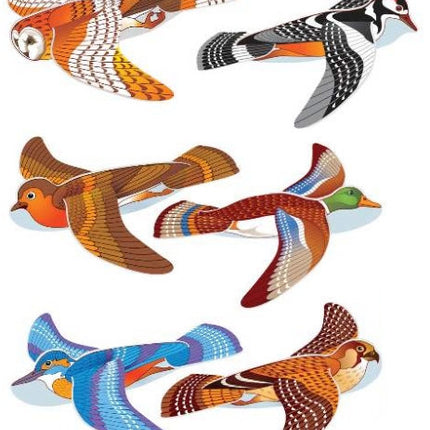 6 Bird Polystyrene Plane Gliders