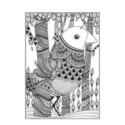A4 Beautiful Butterflies/Birds Colouring Book