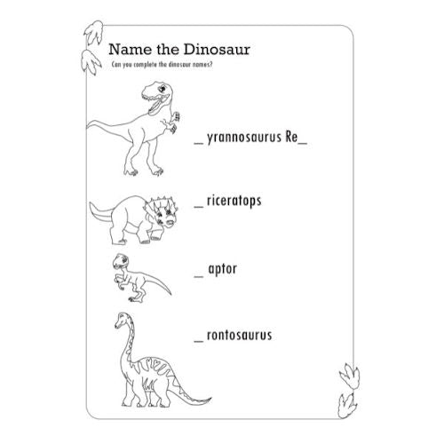 A4 My Wild Dragon & Dinosaur All In One Activity Book