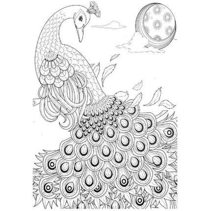 A4 Animals/Birds Adult Colouring Book