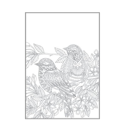 A4 Beautiful Butterflies/Birds Colouring Book