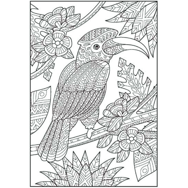 Patterns In Nature Advanced Colouring Book