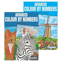 A4 Animals/Nature Advanced Colour by Numbers Book